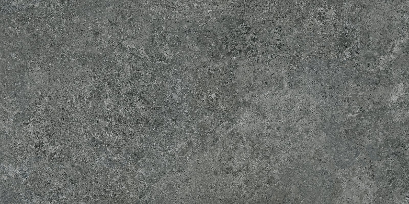 BORGA - Image 2