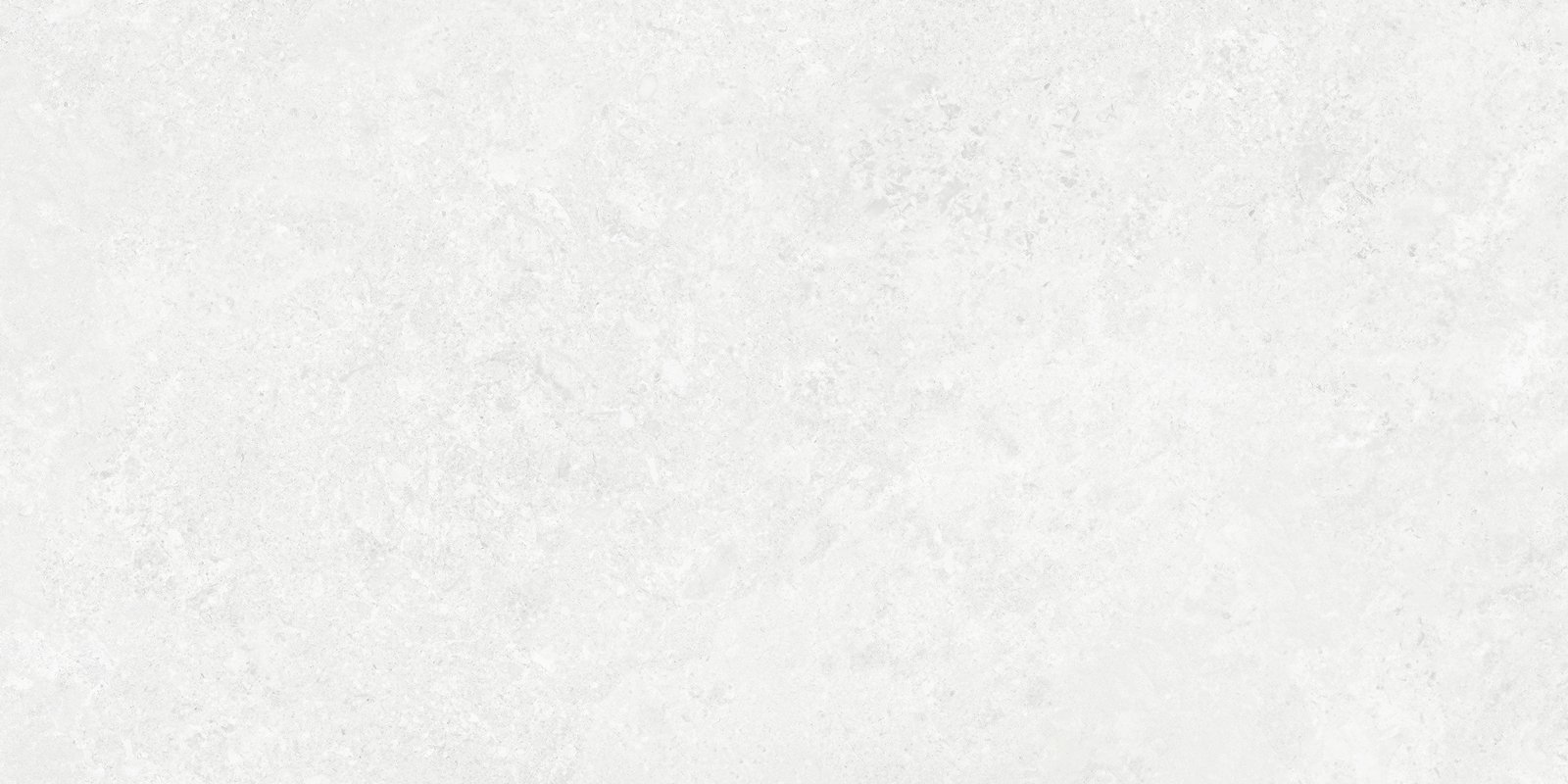 BORGA - Image 5