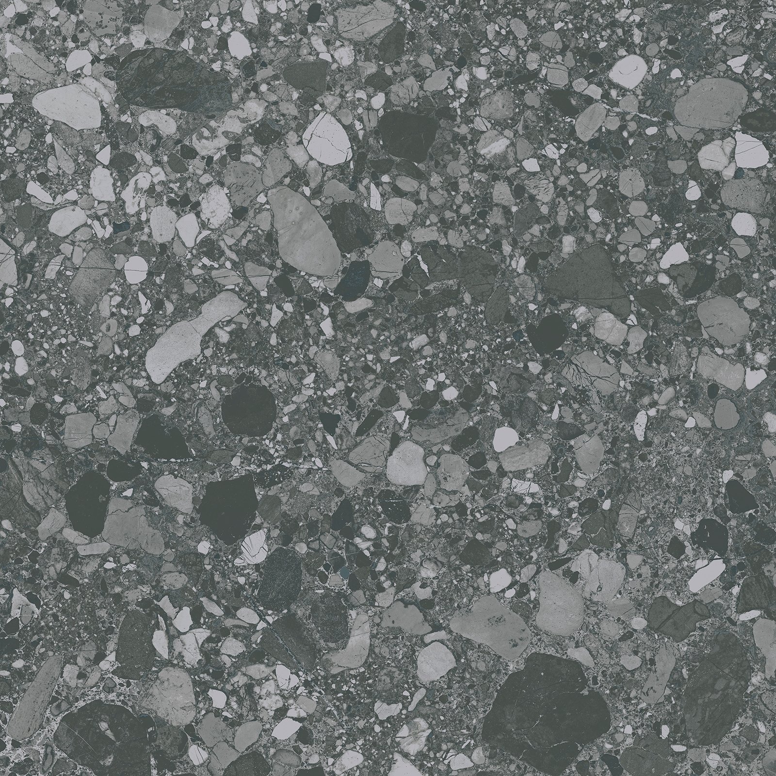 CLEMON - Image 7