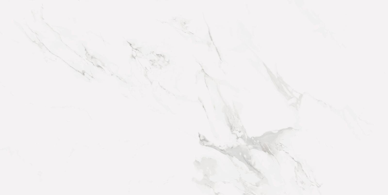 MONTELEONE - Image 2